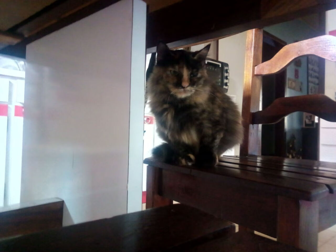 _国际比赛中出现的趣闻趣事集锦_，趣味比赛名称