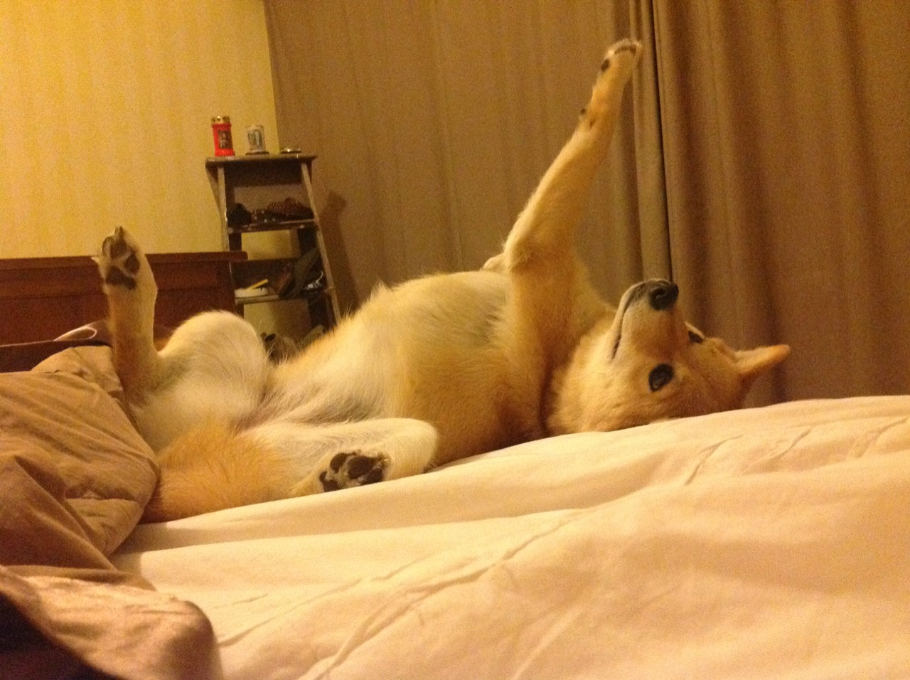 _爵士队防守致胜，成功阻击对手强攻_，爵士队员阵容