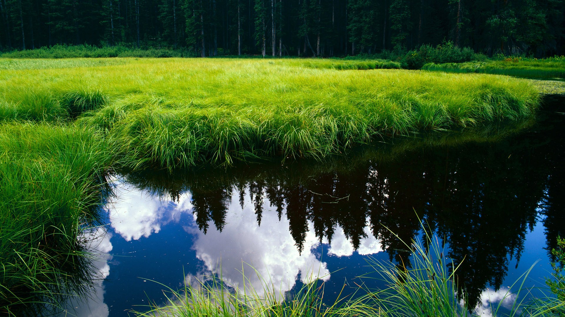 史上最佳“欧洲金靴”获得者盘点,如何评价欧洲金靴 知乎