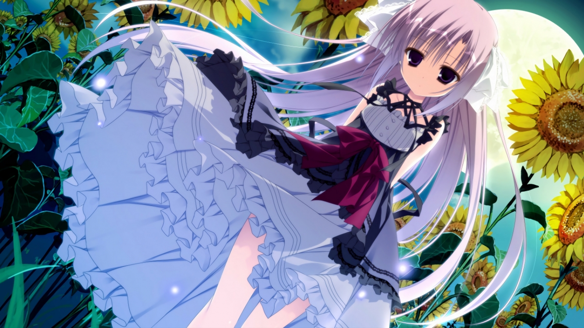 史上最“炸裂”盖帽：谁的封堵最令人震撼？，盖帽最厉害的人