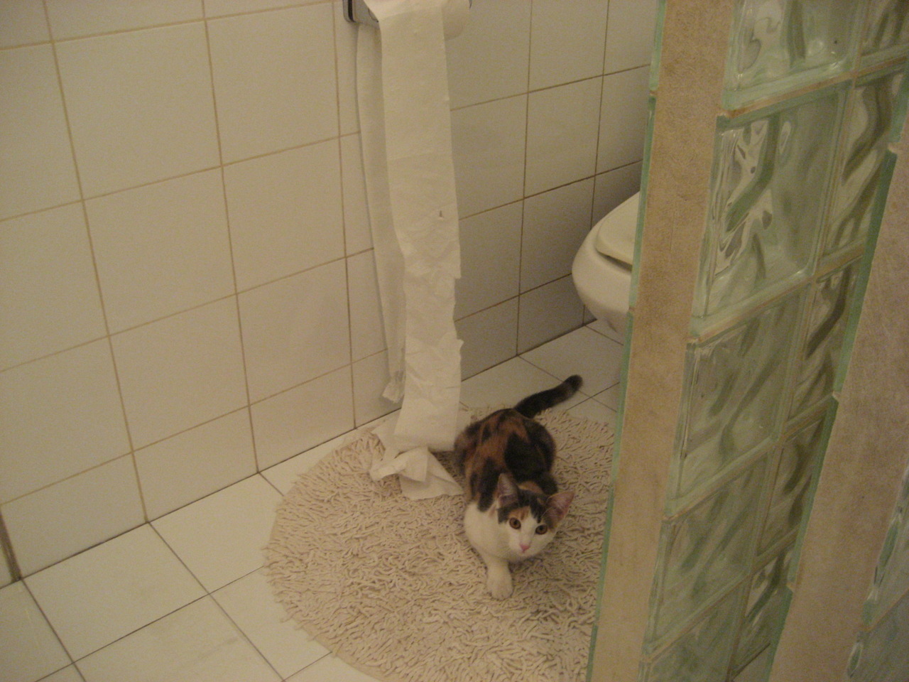 九游-未来联盟：多元化的文化融合怎样推动篮球走向全球？，未来篮球发展的趋势