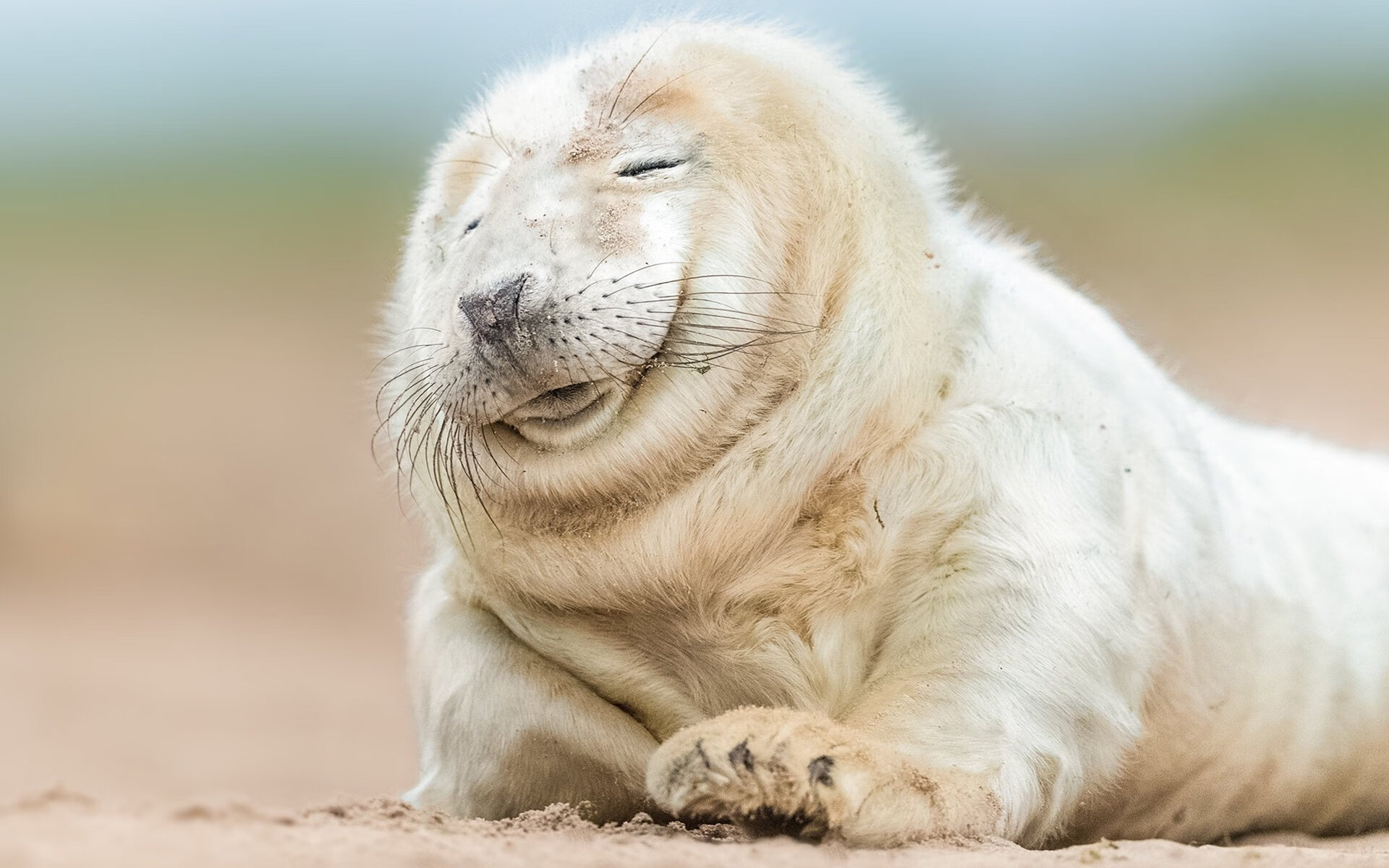 未来联盟：新规则可能带来的深刻变革，未来联盟第一中锋