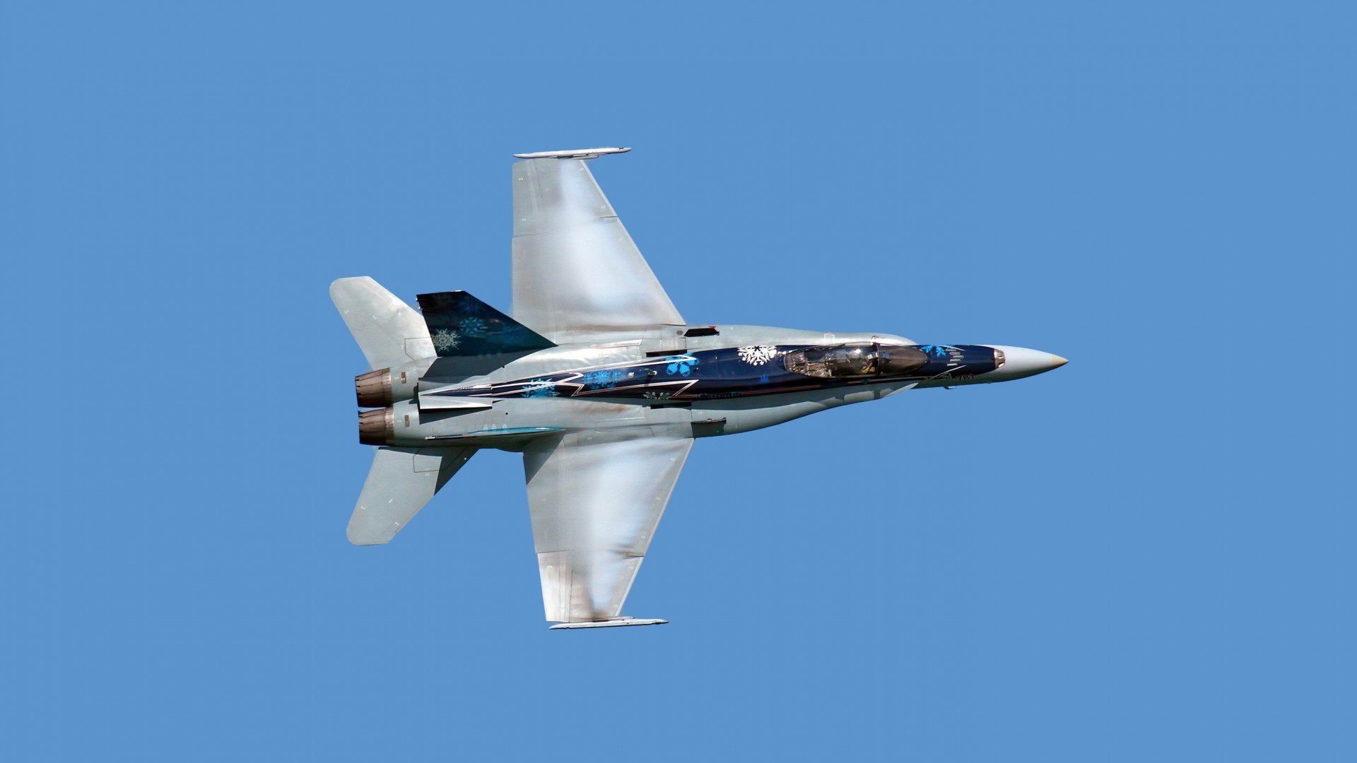 赛场上的明星风采：车手专访，明星职业赛车手