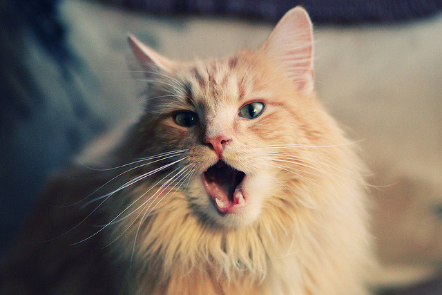 九游jiuyou-逆转战术——欧冠中的“掉头战术”研究，欧冠经典逆转