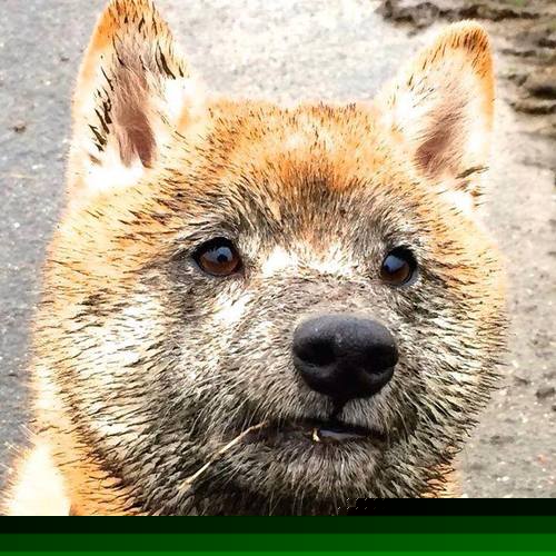 九游下载安装-传奇球星再次闪耀赛场，引发狂热，传奇球员什么意思