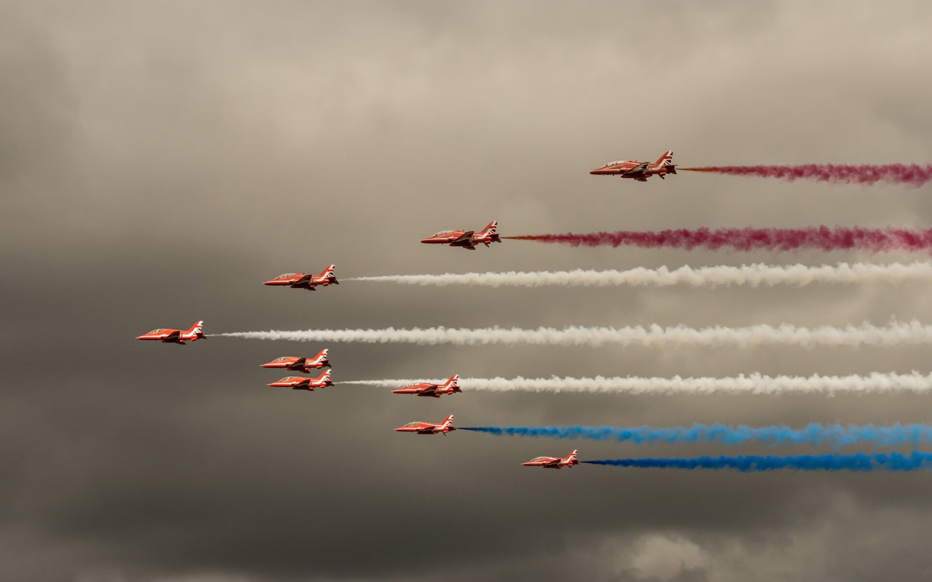 塞内加尔马术协会与国际组织合作，推广“Lamb”至全球。