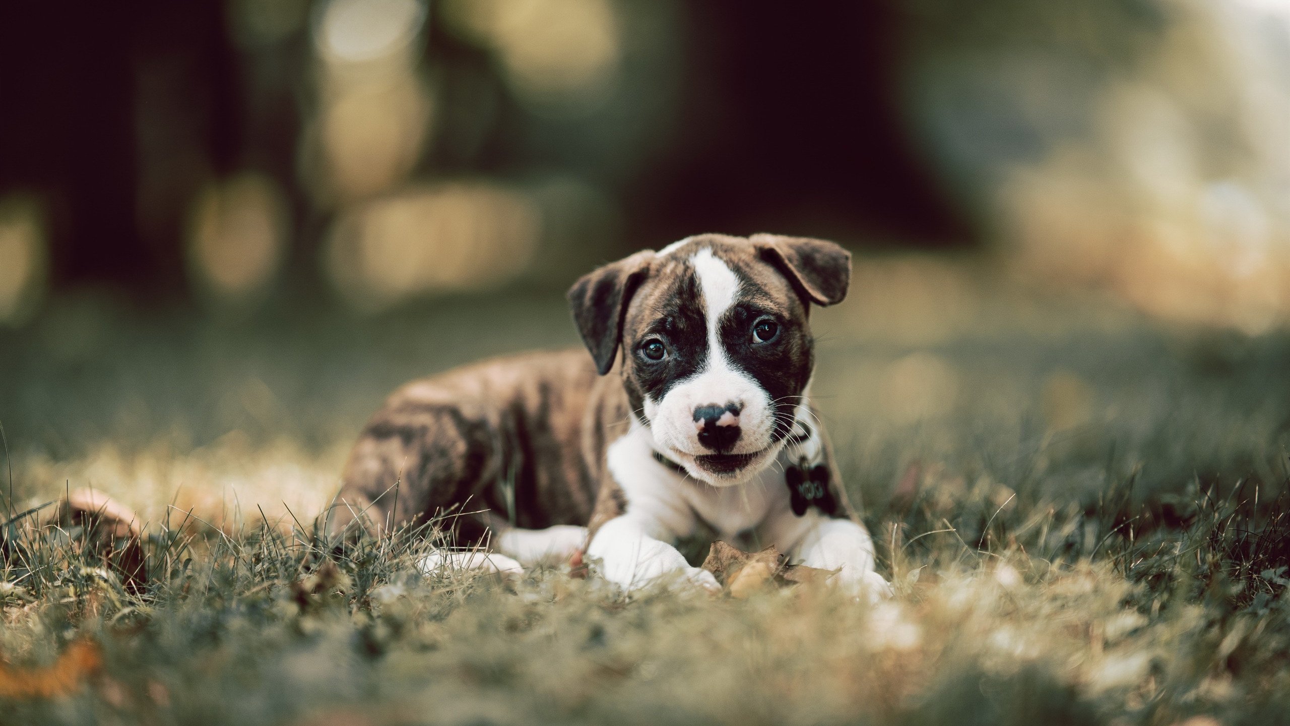 客场逆袭实力抢眼,成绩斐然引发热议,客场比赛是什么意思