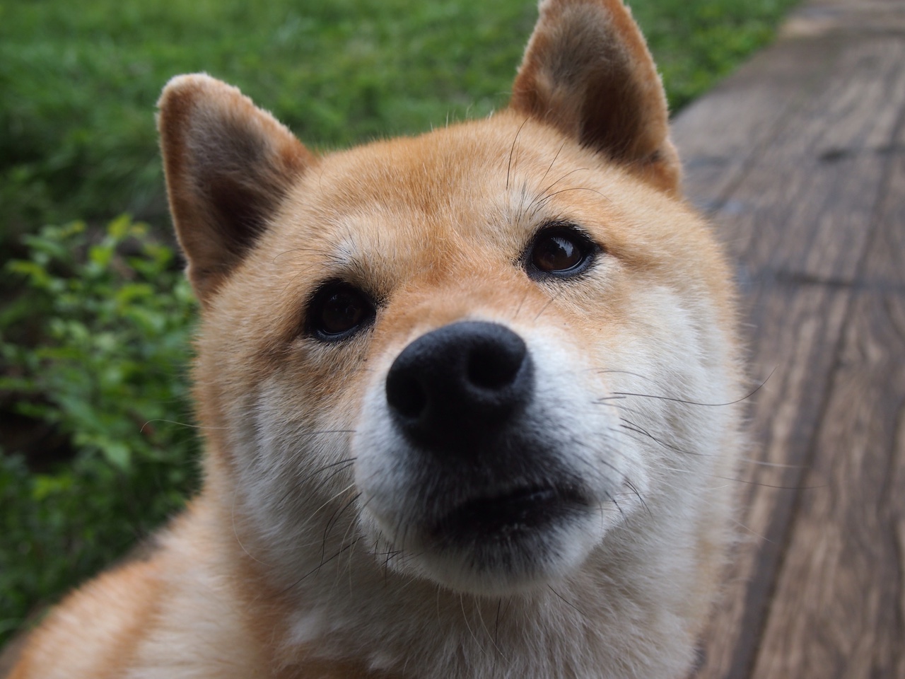 九游登录中心-科尔·帕尔默连续第二年获得英超年度最佳年轻球员提名，英超最年轻进球球员米尔纳