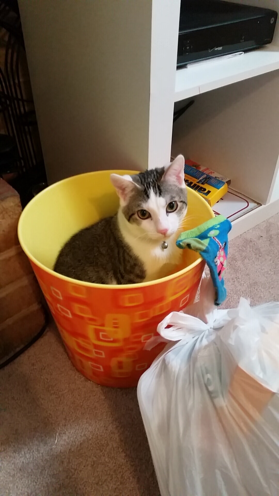 英格兰国家队迎来关键胜利，实现复仇，英格兰国家队最近战况如何