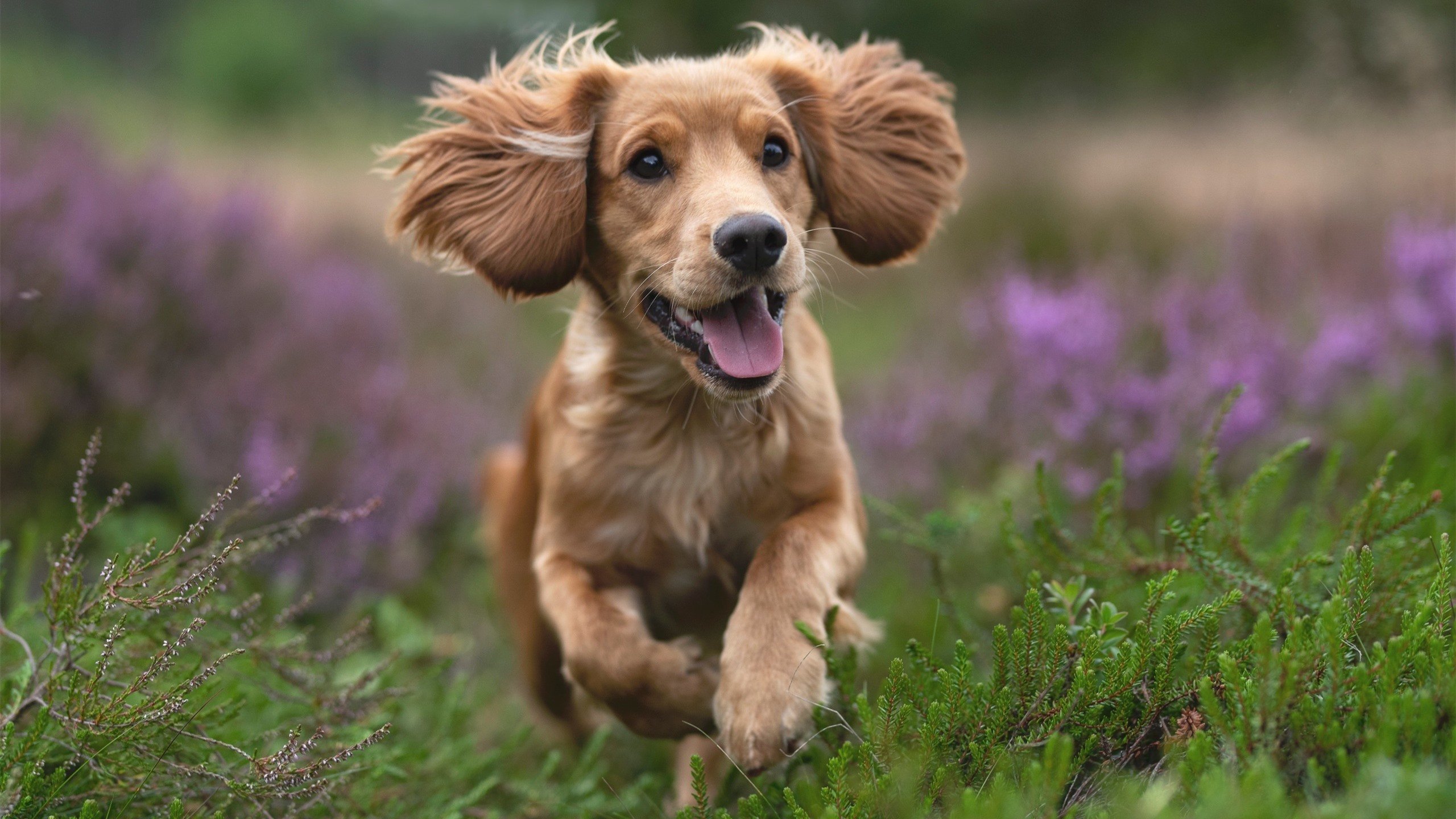 贵州恒丰智诚队客场击败天津泰达队，贵州恒丰智诚足球俱乐部官网