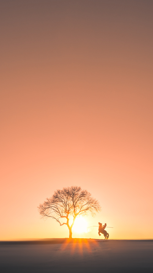 阿拉维斯主场大捷,一战成名巨杀切尔西,阿拉维斯对埃尔切