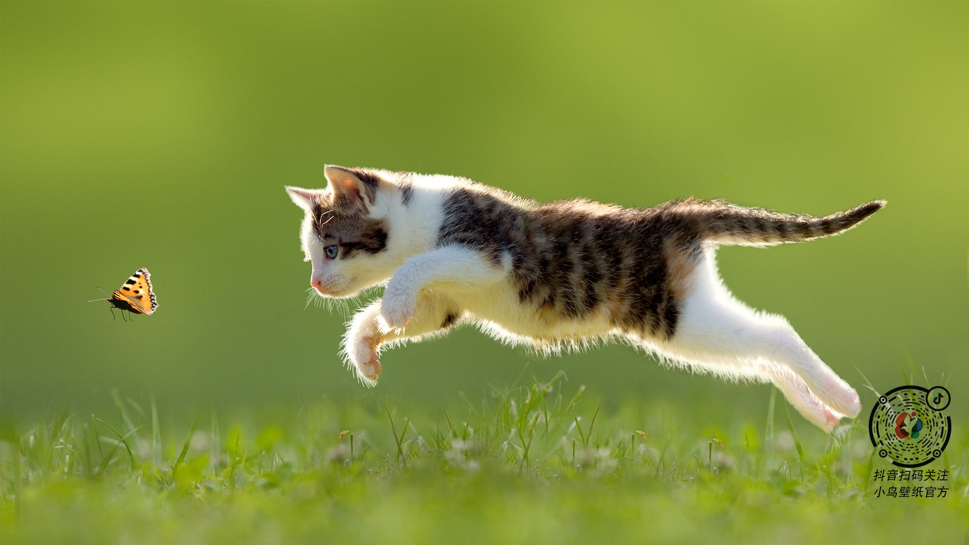 九游APP官网-雄鹿险胜步行者，西部决赛中字母哥篮下统治全场，雄鹿队字母哥全名