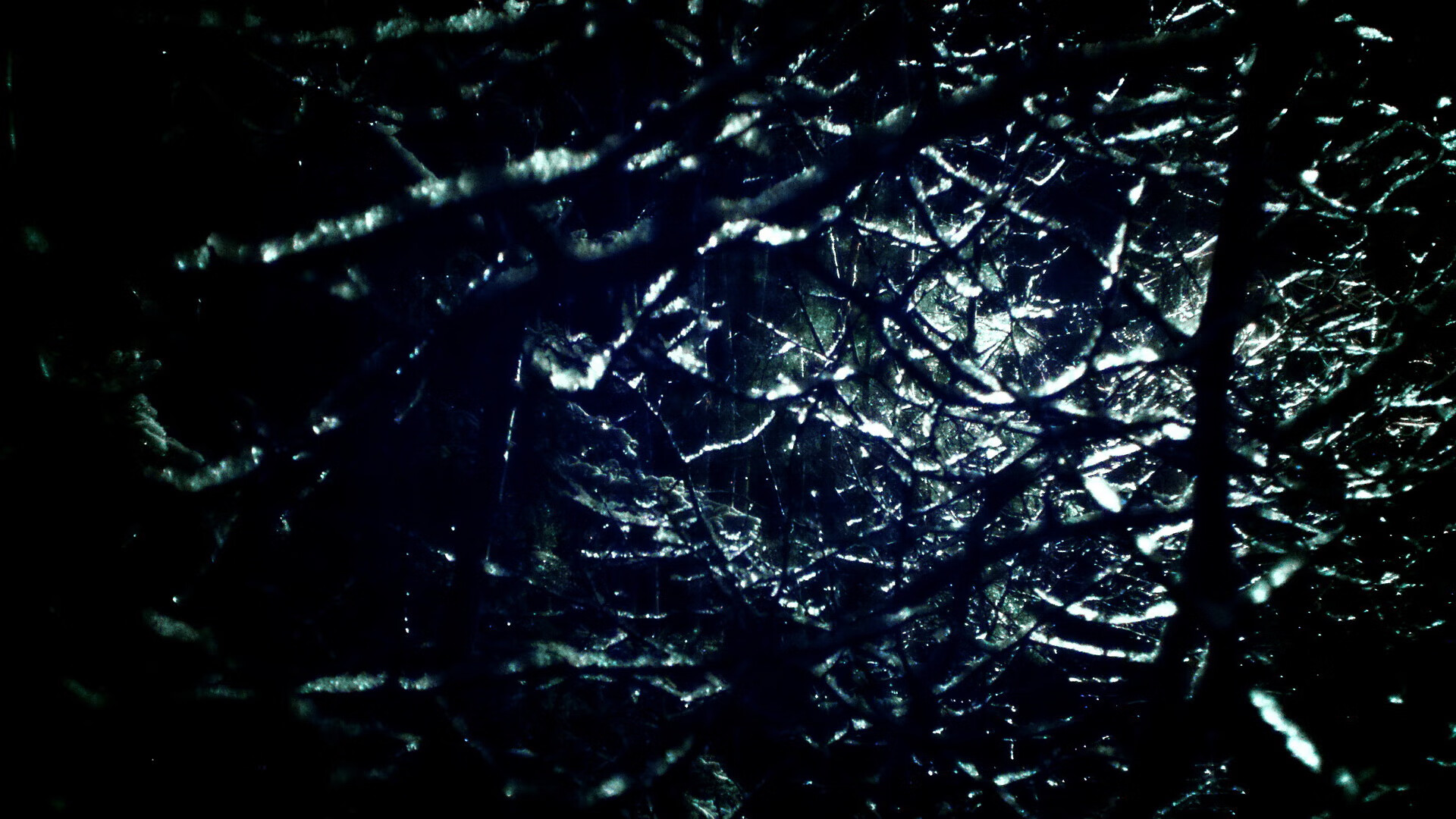 体育教学资源数字化转型与整合研究,体育教育资源