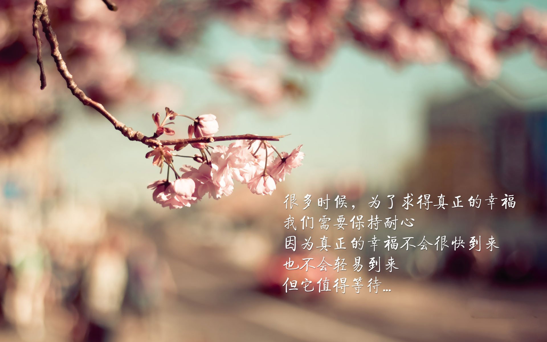 亚洲杯中国足球战败 球迷提出改革建议,亚洲杯国足分析