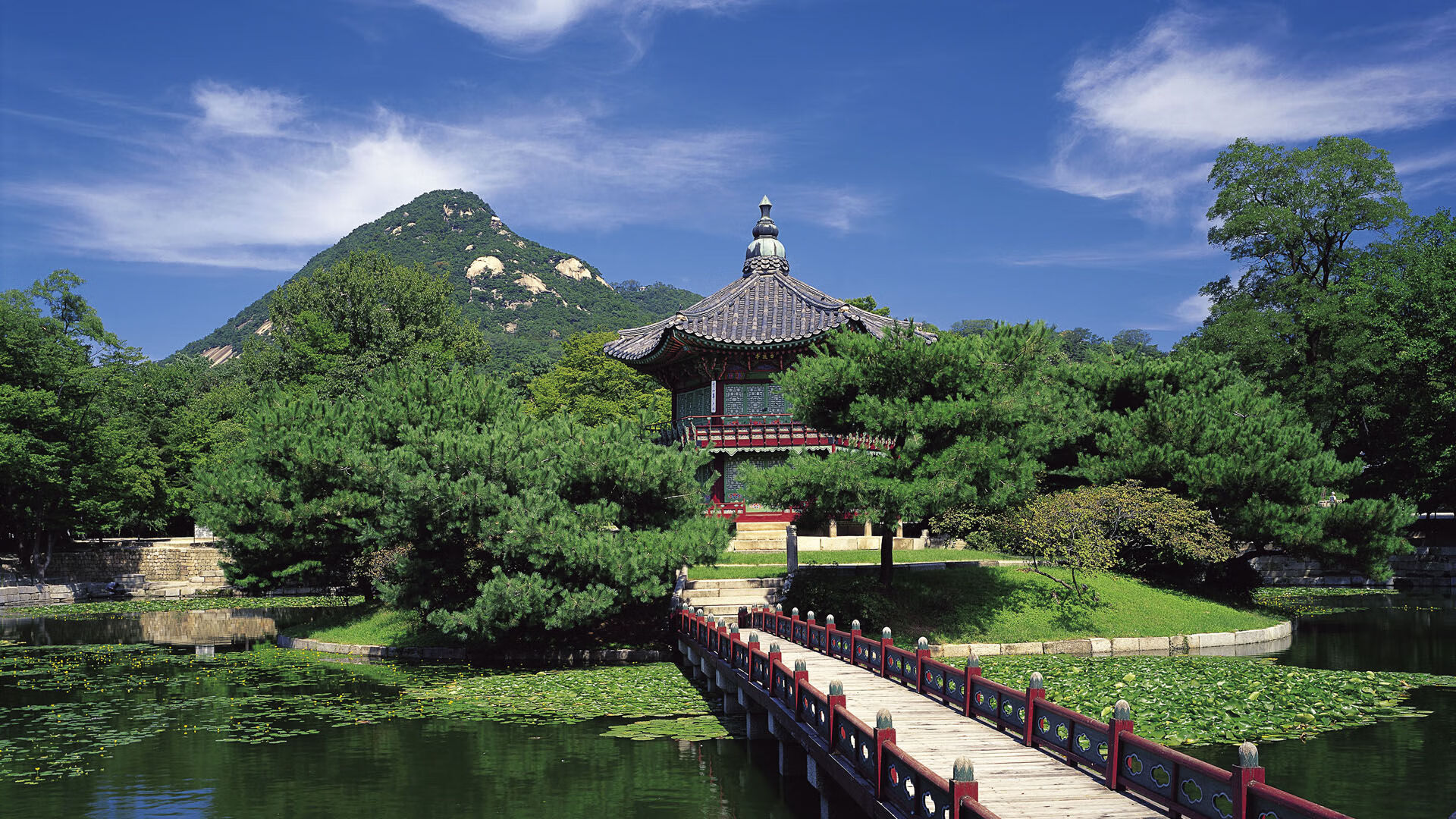 埃及赛制发展：如何应对世界强队带来的压力，埃及的比赛会赢吗