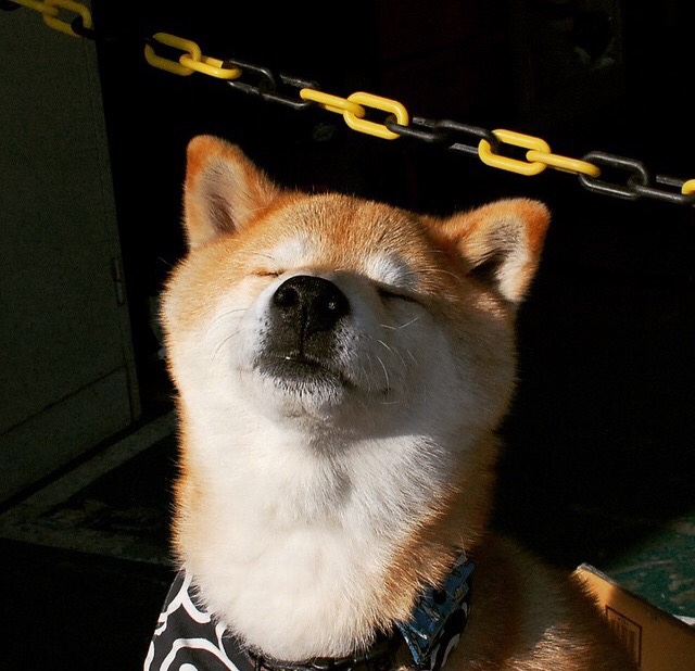 转身技术动作创新及应用,转身的动作方法有哪两种