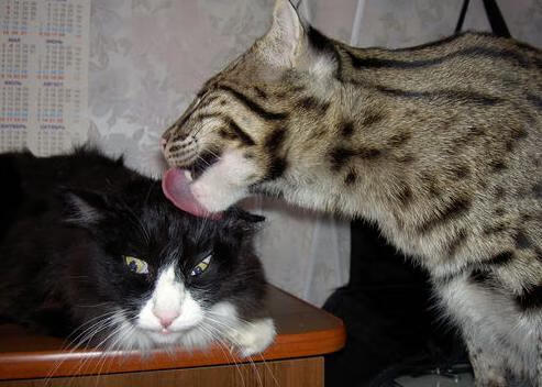 勇士小前锋完成绝杀后泪洒球场,勇士第七顺位小前锋