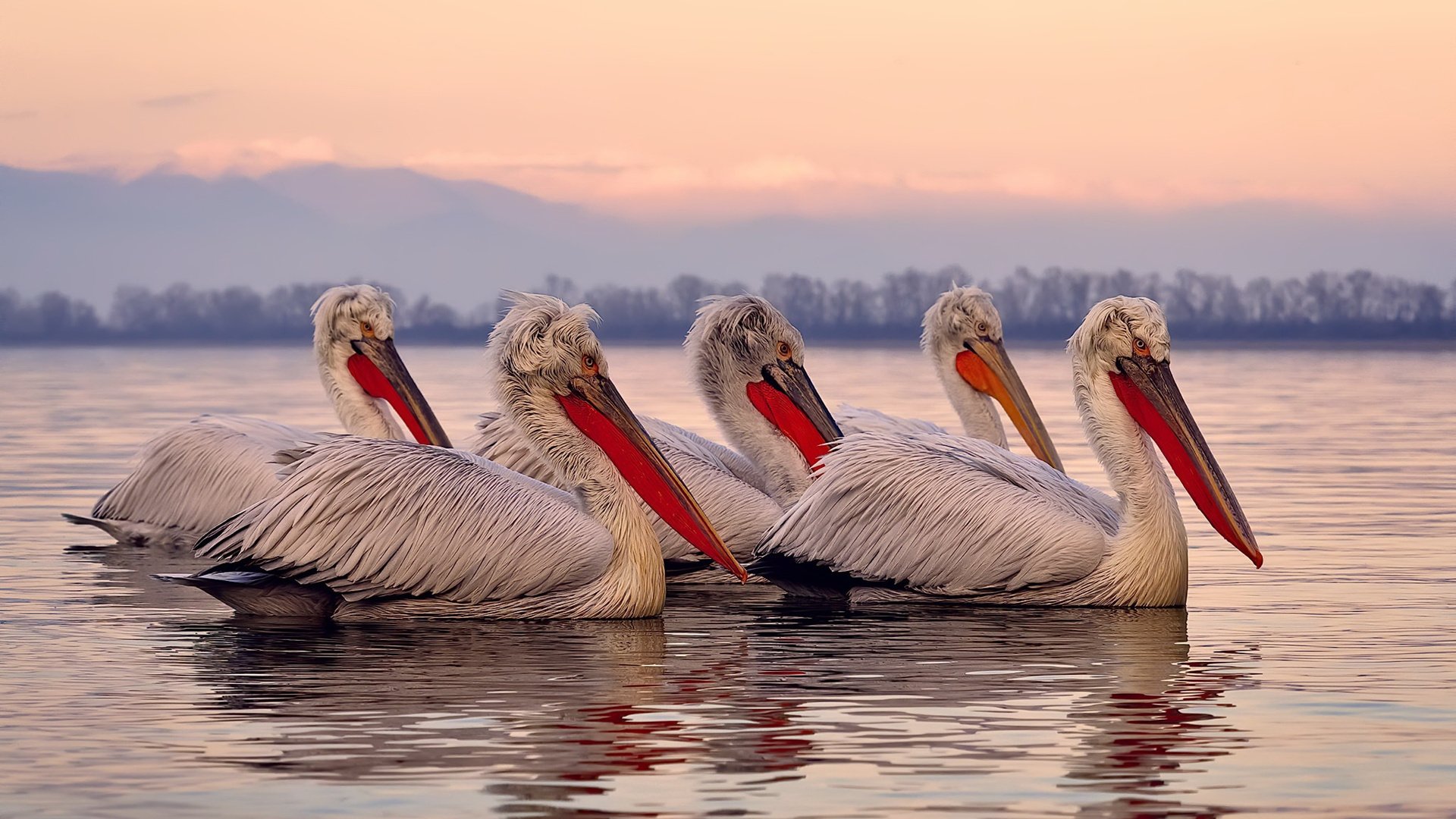 九游娱乐-朱婷体能测试表现全队第一，朱婷体测数据